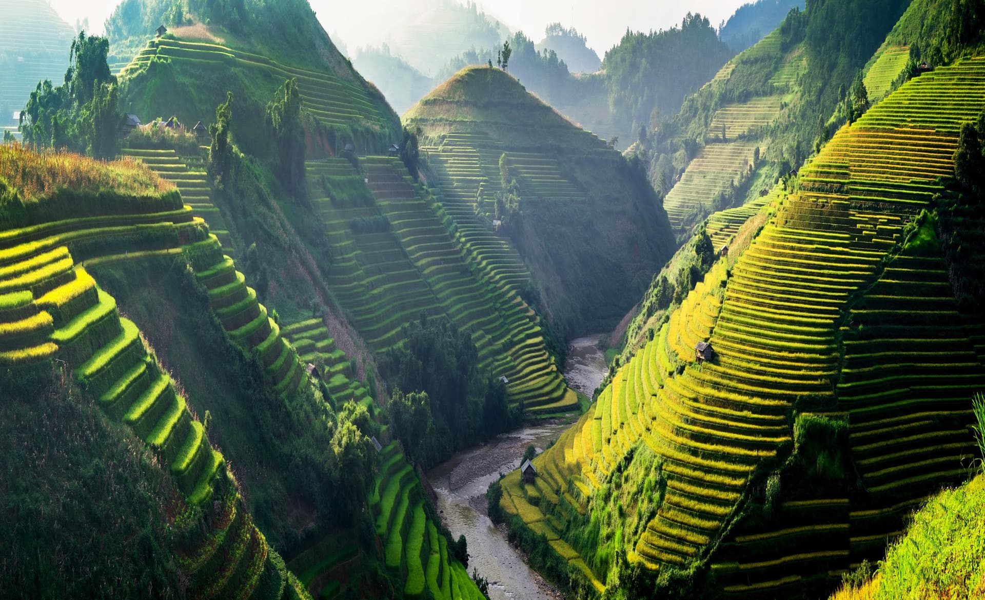 Hiking in Sapa's Rice Terraces: Our Practical Guide