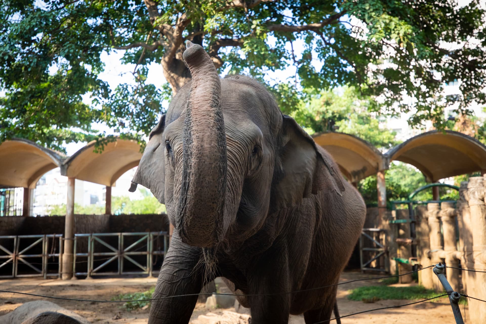 Botanical Garden and Zoo