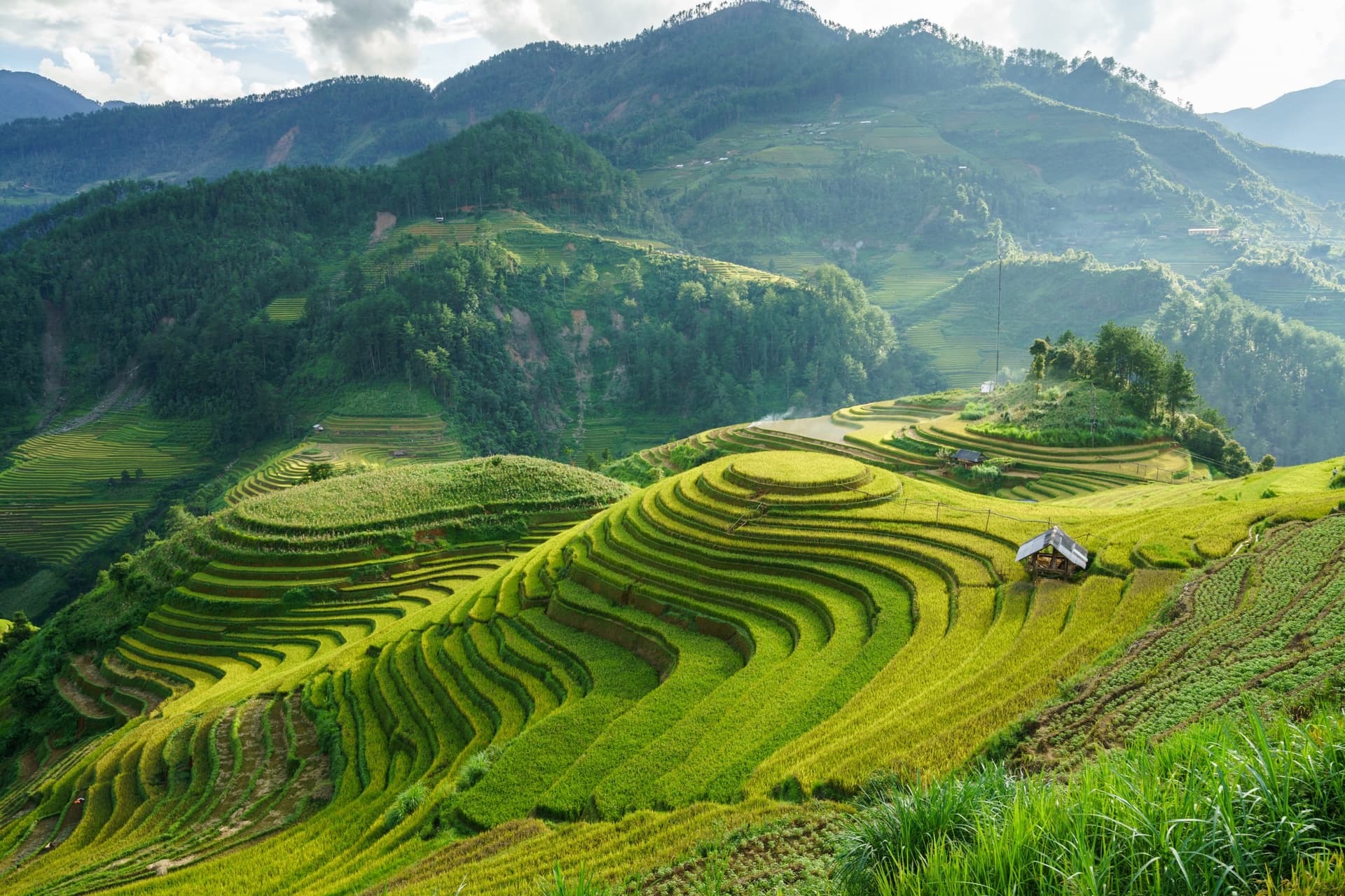 Where to Discover the Most Beautiful Terraced Rice Fields in Northern Vietnam?